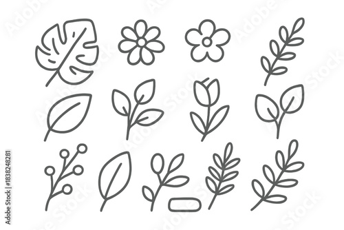 Collection of simple outline botanical elements featuring various leaves and flowers