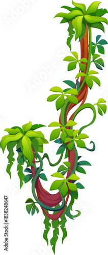 Liana vine branch of tropical jungle or rainforest plant, vector vertical ivy sprouts. Cartoon liana with green leaves and tendrils creeping on rainforest tree or Amazon jungle forest plants for frame