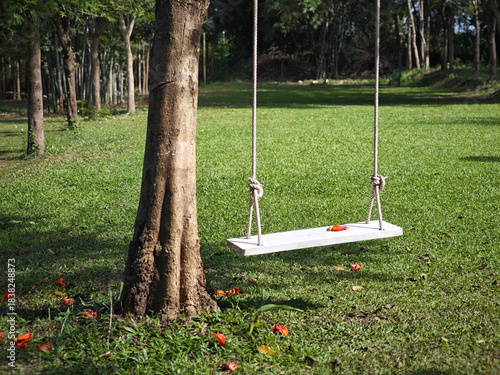 There is a swing in the park