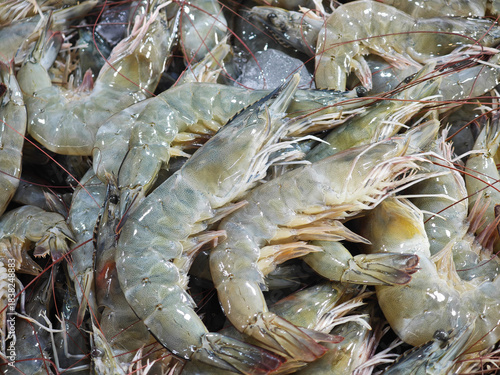 fresh Banana shrimp  on market