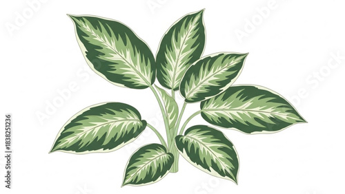 Ornamental Foliage: A depiction of a stylized ornamental foliage, showcasing the intricate detail and lush texture of plant life.
