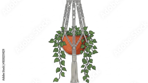 Hanging Greenery: A charming potted plant, suspended elegantly from a macrame plant hanger, adds a touch of natural beauty and bohemian flair to any living space.