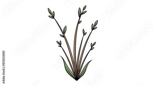 Emerging Nature: delicate sprigs reach for the sky, the composition has clean lines, with gentle hues that emphasize natural grace, representing a fresh start and budding hope.