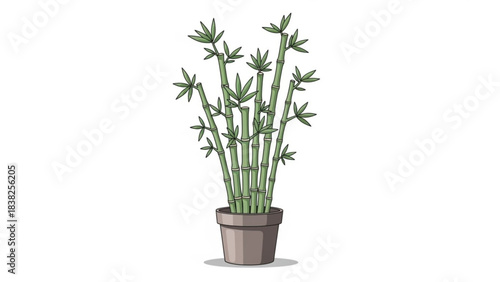Bamboo Plant Illustration: A vibrant illustration showcasing a collection of lush, green bamboo stalks flourishing in a stylish pot, a symbol of serenity and growth.