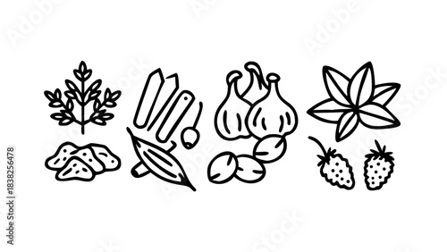 Collection of line art icons representing various spices, herbs, roots, and seasonings, perfect for culinary or cooking themes, isolated on white background .icon