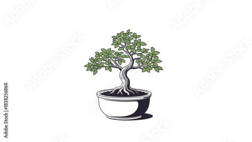 Tranquil Bonsai: A meticulously crafted bonsai tree stands in its ceramic pot, its miniature form representing the art of patience and the beauty of nature.