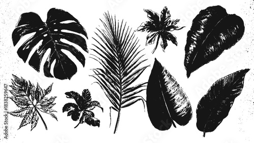 Vintage black and white floral engraving background with fine line botanical details for elegant retro design applications