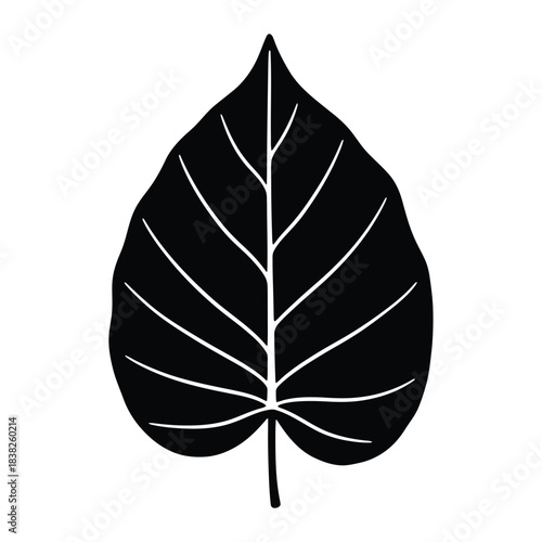 Black Silhouette of a Broad Leaf with Veins plant nature