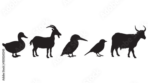Farm Animals Silhouette in Simple Modern Style with Black Color on White Background for Agriculture