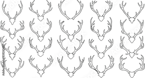 Detailed illustrations of deer antlers, rustic horn collection artwork set for wildlife design, hunting lodge decor, nature elements, vintage forest concepts