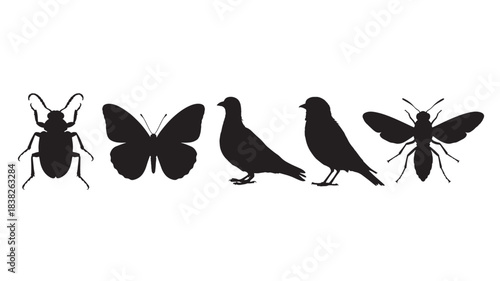 Silhouettes of insects and birds in minimalist style with black color on white background for wildlife illustration