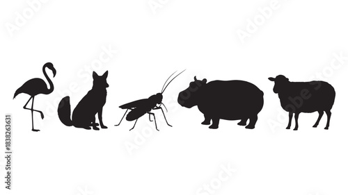 Collection of diverse animal silhouettes including a flamingo fox grasshopper hippopotamus and sheep presented as simple vector icons for educational or design purposes