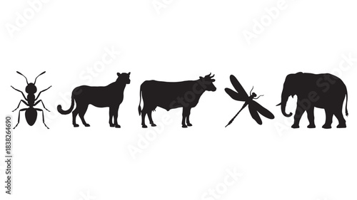 Collection of diverse animal silhouettes including an ant leopard cow dragonfly and elephant presented as simple vector icons for nature or wildlife concepts isolated on white
