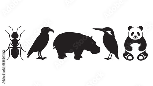 Collection of animal silhouettes including an ant crow hippopotamus kingfisher and panda isolated on a white background for design