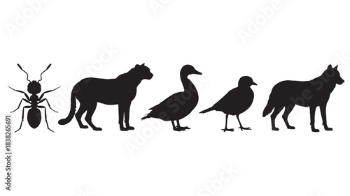 Collection of diverse animal silhouettes including an ant panther duck bird and wolf presented as simple vector icons on a white background