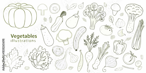 A collection of hand drawn vegetable illustrations in a minimalist style