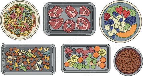 Pet food assortment illustration featuring meat trays, fruit bowls, vegetable mixes, kibble varieties, and nutritious animal meal recipes