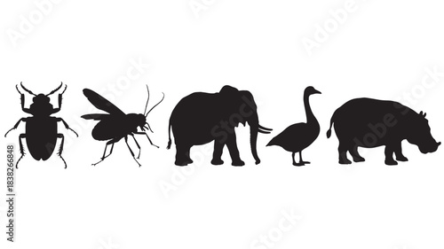 Collection of animal silhouettes including a beetle fly elephant goose and hippopotamus isolated on a white background for design use