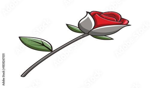 Single red rose with green leaves on a white background