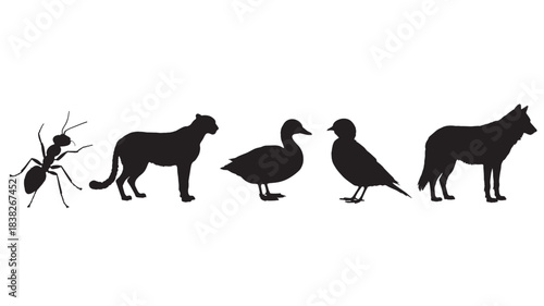 Collection of animal silhouettes including an ant panther duck bird and wolf presented as simple vector icons for nature or wildlife concepts isolated on white