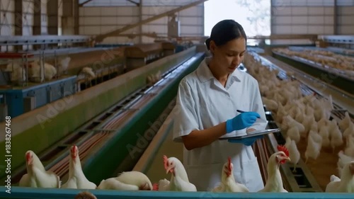 A poultry farm worker inspecting rows of chickens Stock Video
