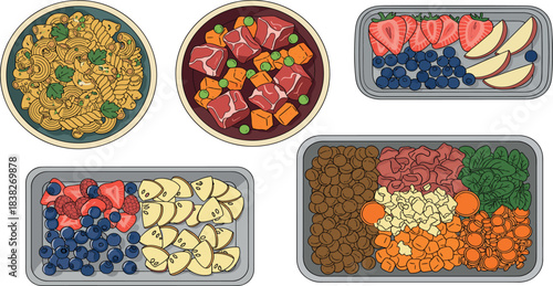 Pet food meal set illustration featuring meat bowls, fruit trays, vegetable mixes, and assorted nutritious recipes for animals