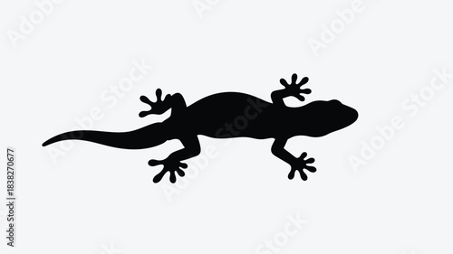 A striking black lizard form against a white background silhouette