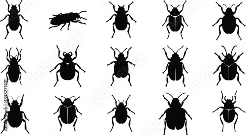 Silhouettes of various beetles and insects, entomology illustration collection set for nature design, scientific study, bug icons, biological concepts