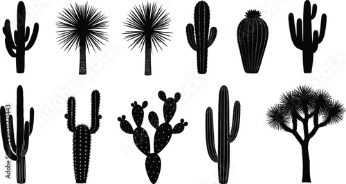 Silhouettes of various cacti and desert plants, succulent illustration collection set for botanical design, nature elements, southwestern landscape artwork concepts