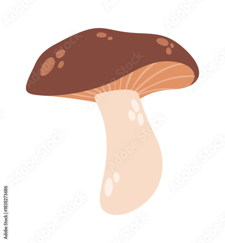 Cute aspen mushroom design element