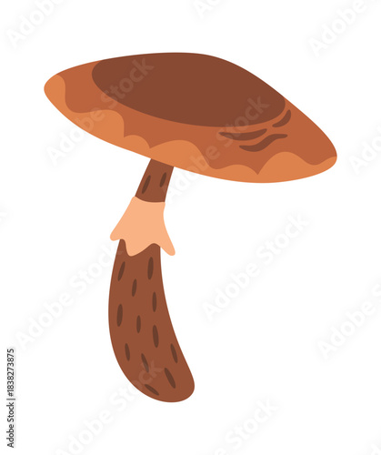 Brown mushroom with lamellar cap
