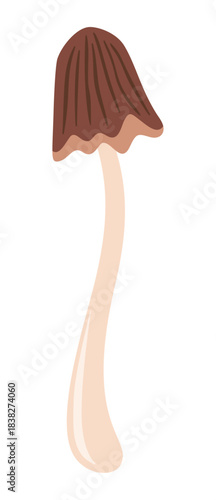 Cute decorative false honey mushroom