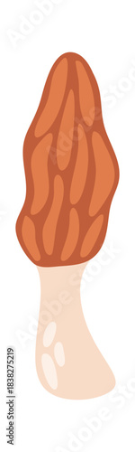 Cute morel autumnal forest mushroom