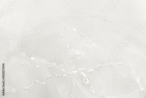 Delicate cloud white dancer tulle background. Blurred wedding veil with beads. Demonstrating color, trend 2026 year