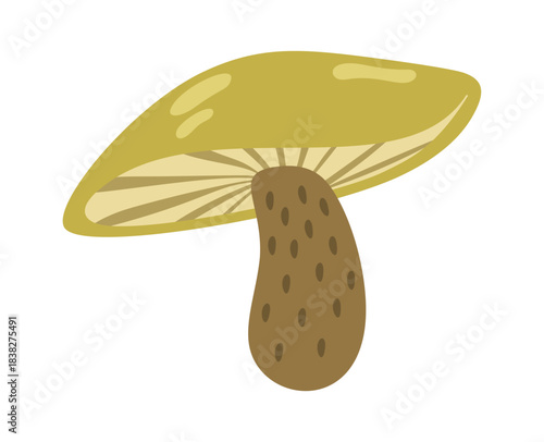 Green inedible poisonous forest mushroom