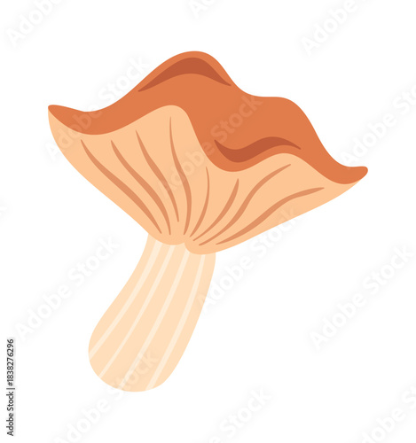 Cute chanterelle mushroom design element