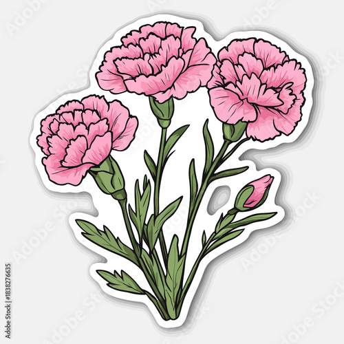  flower Carnation