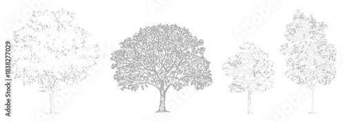 Set of trees in CAD lines for architecture and landscaping models, featuring side and top view tree outlines, vector elements, scalable symbols, and technical planning illustrations