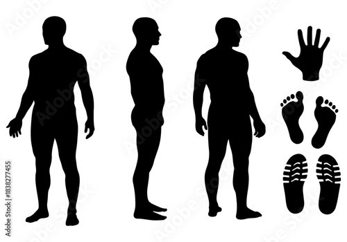 Silhouette illustrations of human body parts and full human figures in side profile and front view
