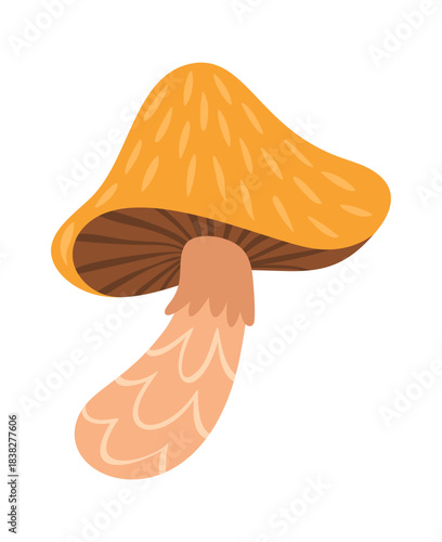 Cute woodland mushroom design element