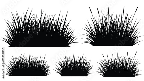 Simple black and white illustration of various clumps of tall grass