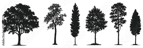 Tree silhouette architecture and landscaping model showing precise side view and top view tree outlines, vector CAD elements for architecture