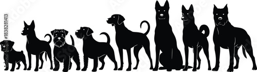 Silhouette vector illustration of various dog breeds in size order from small to large, ideal for pet and animal design.