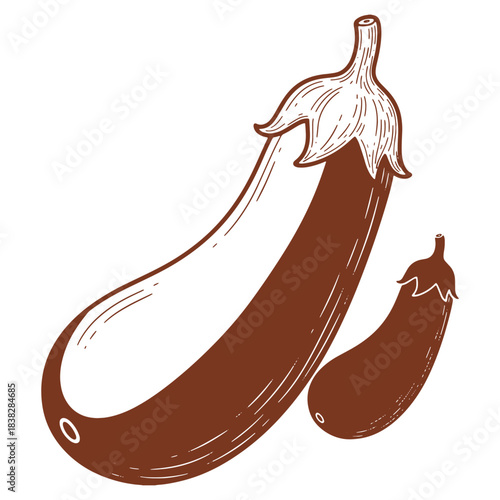Two vibrant eggplants in a charming hand drawn style illustration for culinary or agricultural concepts