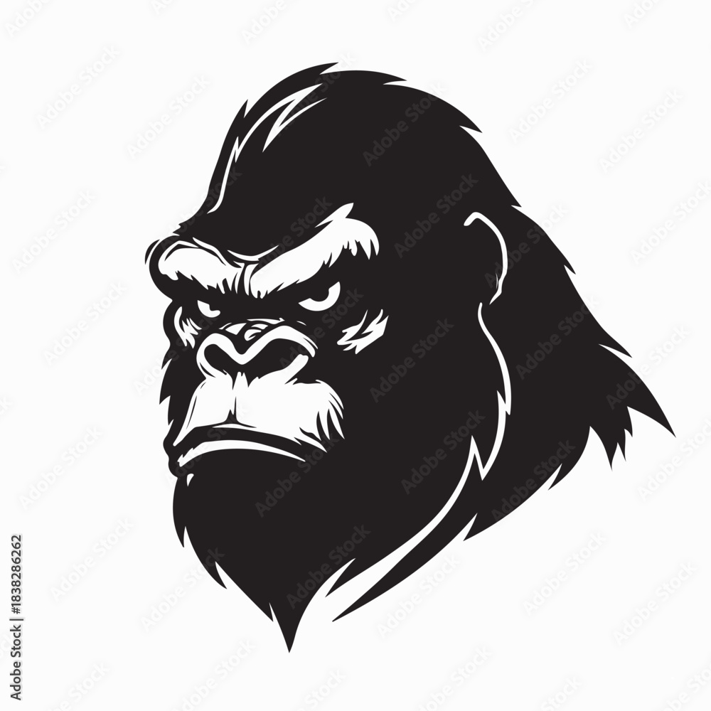 Fototapeta premium Sharp Staring Gorilla Head Detailed Vector Art on white background