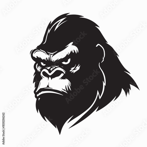 Sharp Staring Gorilla Head Detailed Vector Art on white background