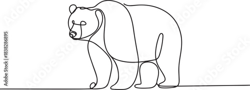 Bear in continuous line art drawing style. Grizzly bear minimalist black linear sketch isolated. one line Icon drawing