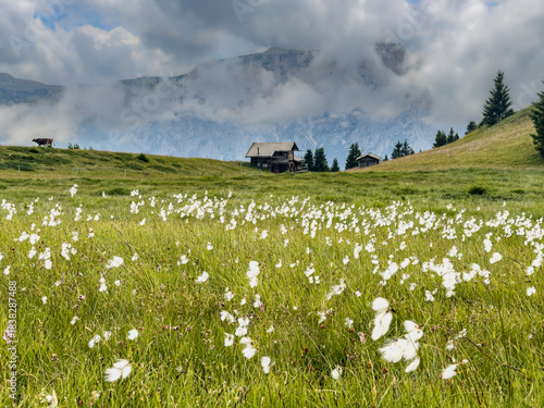 View from the Puflatsch to the Schlern in clouds on the Seiser Alm in the Dolomites, South Tyrol, Italy.