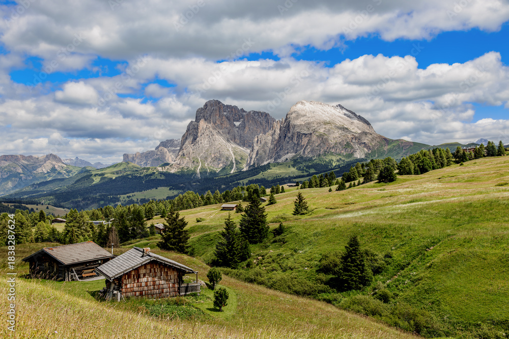 Fototapeta premium View over the alpine meadows with mountain cabins towards the Langkofel group with the peaks of Langkofel and Plattkofel on the Seiser Alm, Dolomites, South Tyrol, Italy.