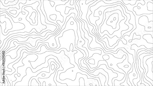 A modern minimal vector background with abstract black flowing curves arranged as topographic contour lines on a white surface — for creative decoration, packaging, and wallpaper designs.